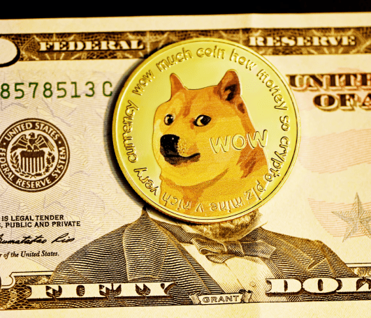 fox on the dollar