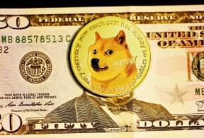fox on the dollar